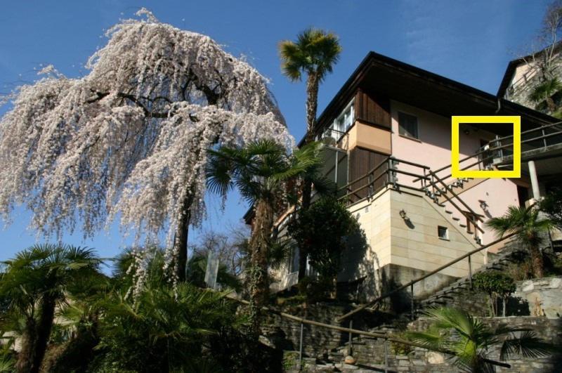 Casa Sibylle Bei Locarno Daire Dış mekan fotoğraf
