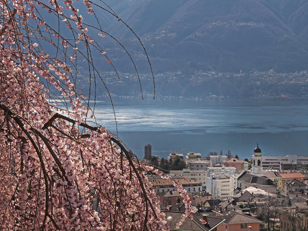 Casa Sibylle Bei Locarno Daire Dış mekan fotoğraf